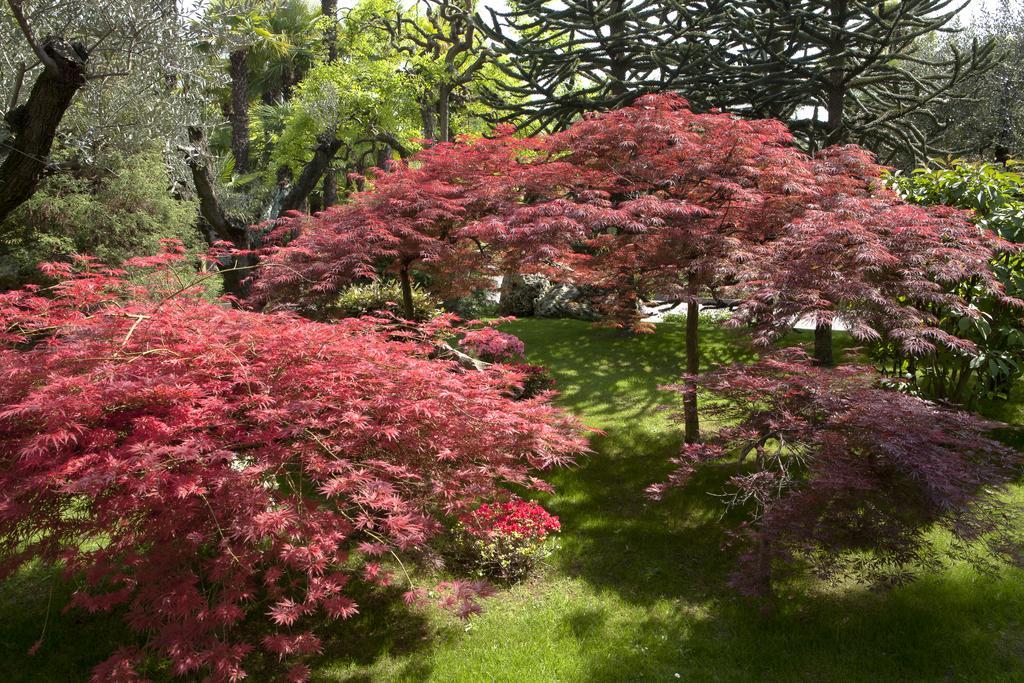 Abano Grand Hotel Абано Терме Екстериор снимка